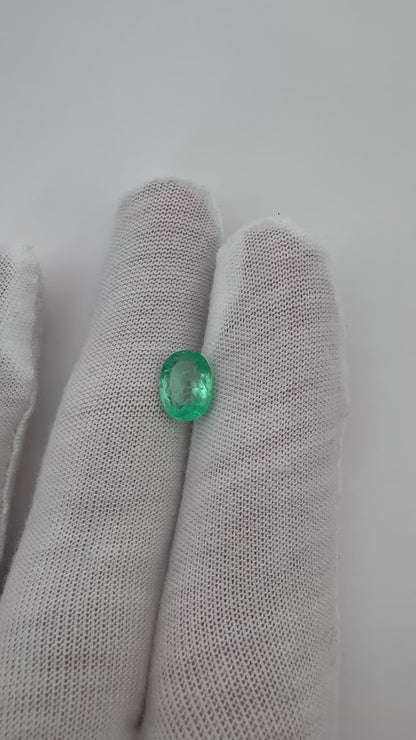 Kolumbianischer Smaragd, 1.59 Karat, Minor Oil